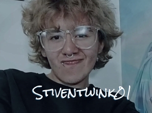Stiventwink01