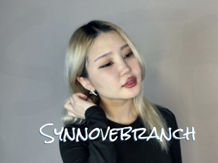 Synnovebranch