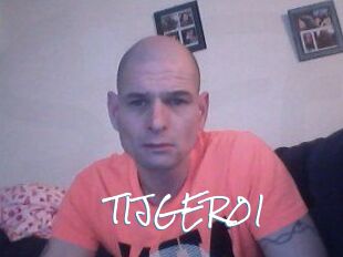 TIJGER01