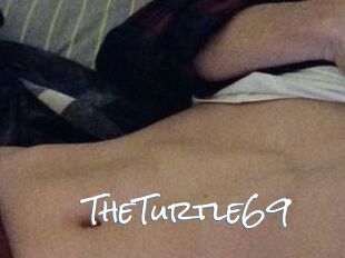 TheTurtle69