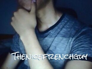 Thenicefrenchguy