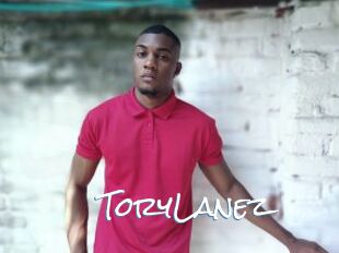 ToryLanez