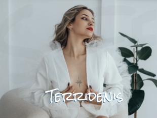 Terridenis