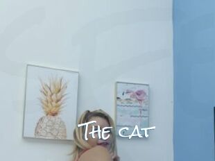 The_cat