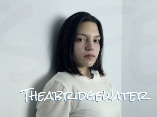 Theabridgewater