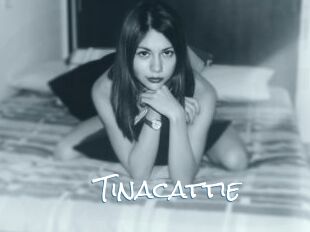 tinacattie Sex Feed