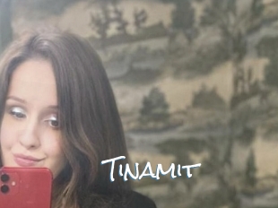 Tinamit