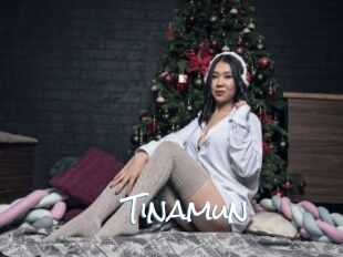 Tinamun