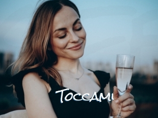 Toccami