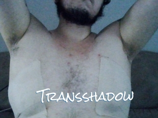 Transshadow