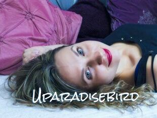 Uparadisebird