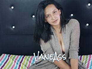 VaneAss
