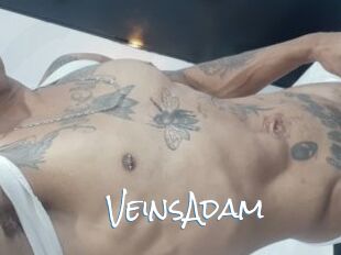 VeinsAdam