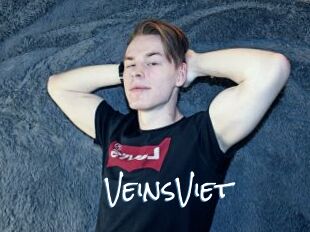 VeinsViet