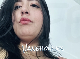 Vaneholmes