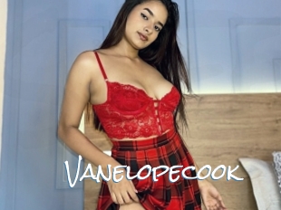 Vanelopecook
