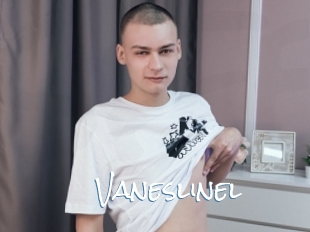 Vaneslinel