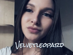 Velvetleopard