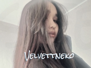 Velvettneko