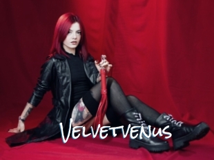 Velvetvenus