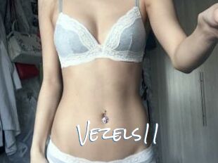 Vezels11