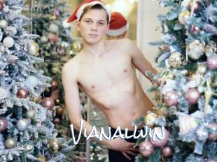 Vianalwin