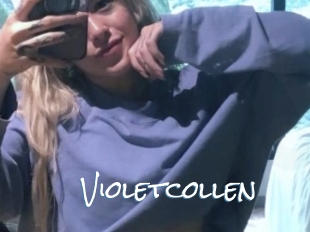 Violetcollen