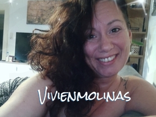 Vivienmolinas