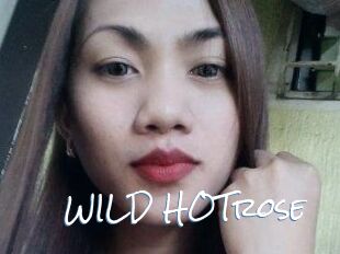 WILD_HOTrose