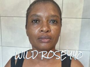 WILD_ROSEY40