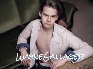 WayneGallager