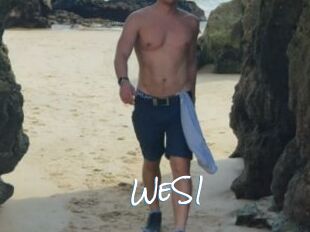 WeS1