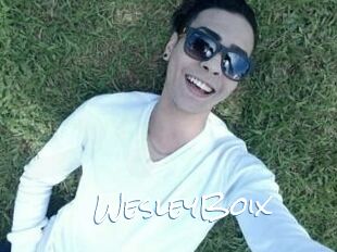 Wesley_Boix