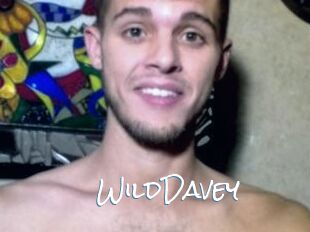WildDavey