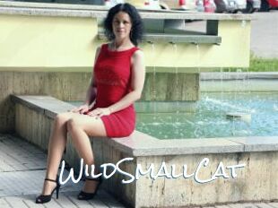 WildSmallCat
