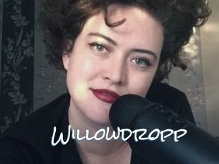 Willowdropp