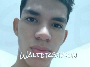 Waltergibson