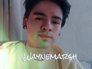 Waynemarsh