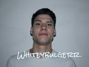 Whitey_bulgerr