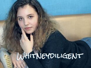 Whitneydiligent