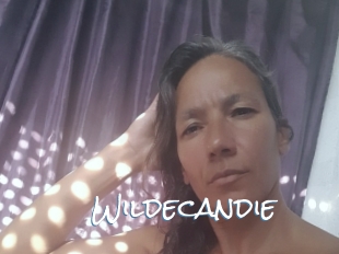 Wildecandie