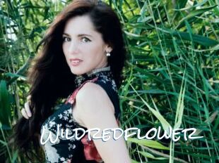 Wildredflower