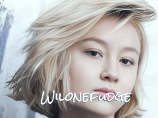 Wilonefudge