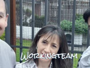 Workingteam