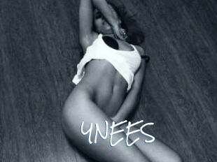 YNEES