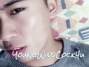 YoungWildCock4u