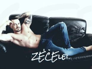 ZECElei