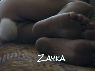Zayka