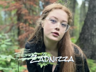 Zadnizza