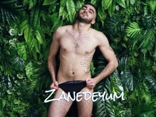 Zanedeyum